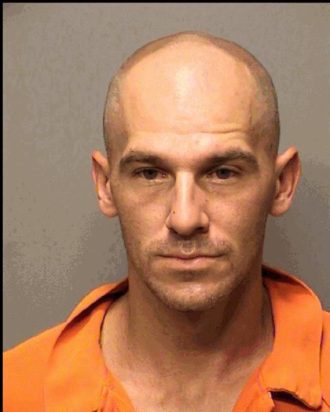 Stephen Michael Evans